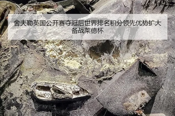 舍夫勒英国公开赛夺冠后世界排名积分领先优势扩大备战莱德杯