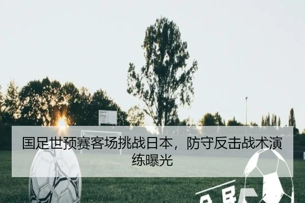 guo-zu-shi-yu-sai-ke-chang-tiao-zhan-ri-ben-fang-shou-fan-ji-zhan-shu-yan-lian-bao-guang-3-450.jpg