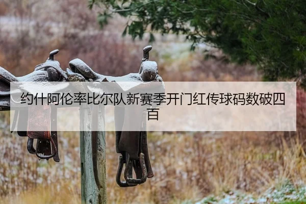 约什阿伦率比尔队新赛季开门红传球码数破四百